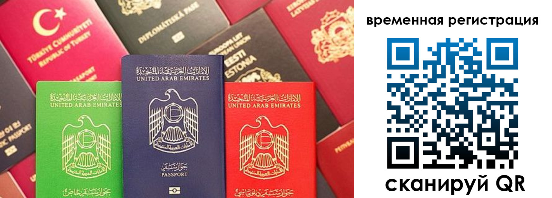 временная регистрация гарантия в Боготоле